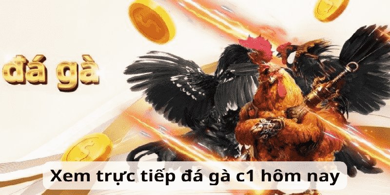 Luật diễn ra các trận đấu C1 cho người mới