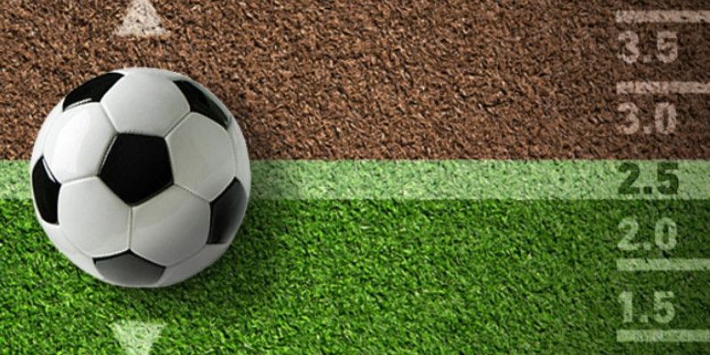 Tìm hiểu cách đọc kèo tài xỉu 2 trái rưỡi