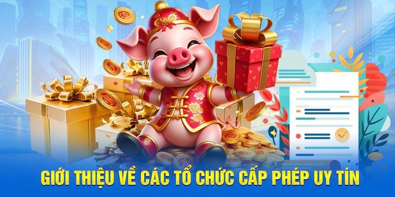 Giới thiệu về các tổ chức cấp phép uy tín